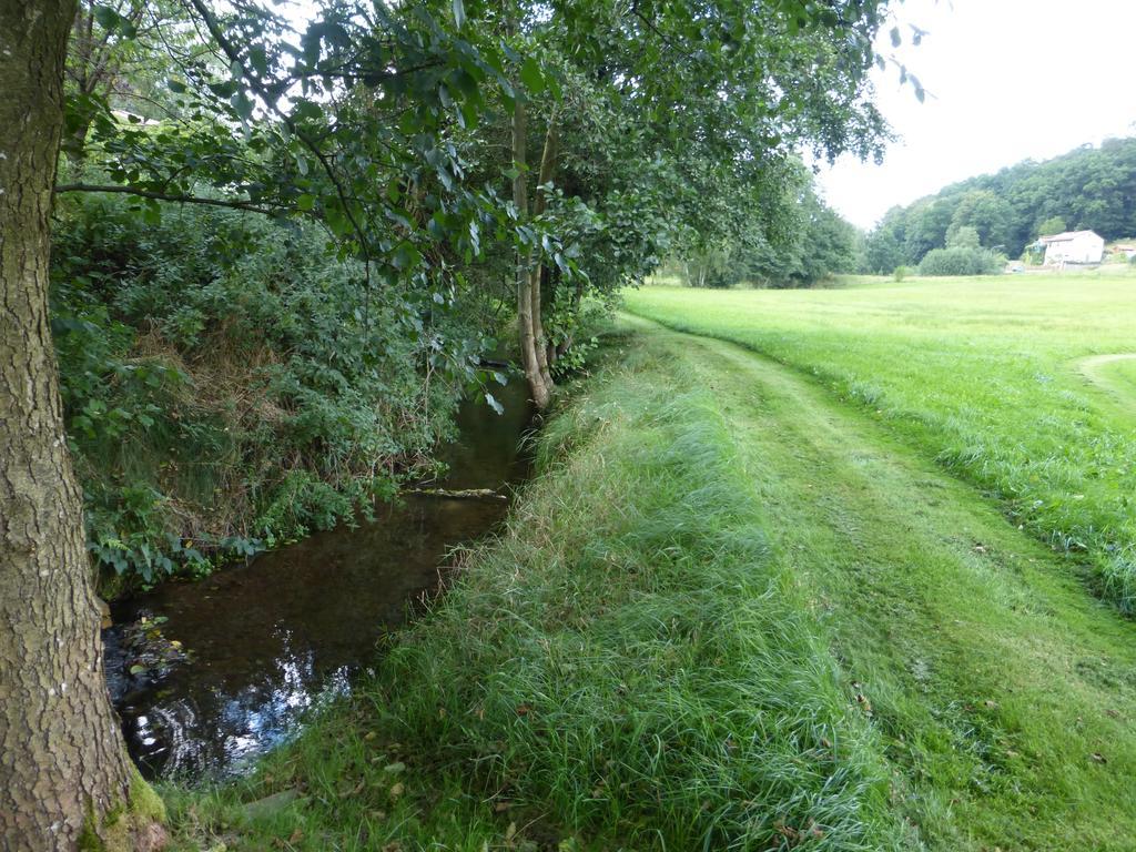Ferienwohnungen Zur Muehle Mossautal Exteriör bild